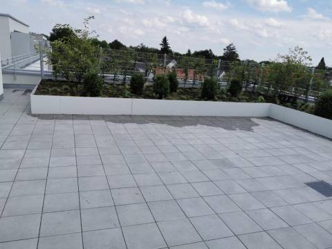 Tlakovanje i uređenje površina